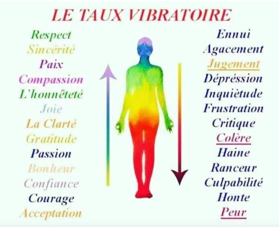 Cest Quoi Le Taux Vibratoire Aur Lie Sabri